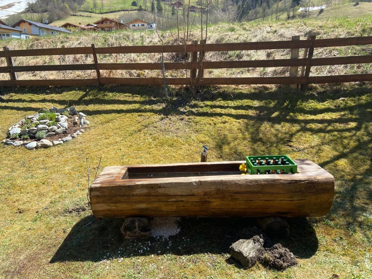 Pension Mitterwallner Schladming Dış mekan fotoğraf