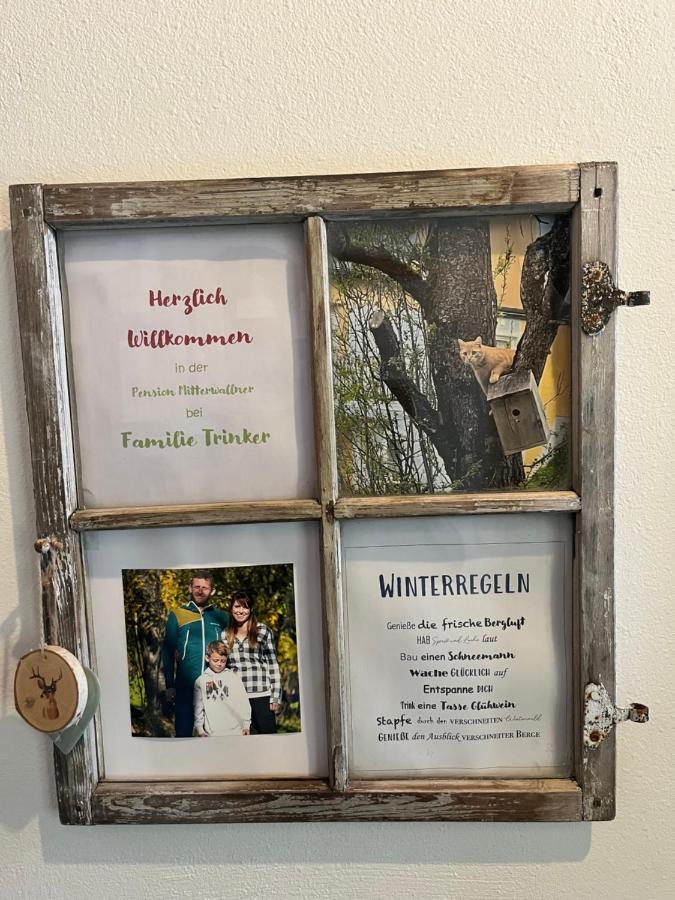 Pension Mitterwallner Schladming Dış mekan fotoğraf